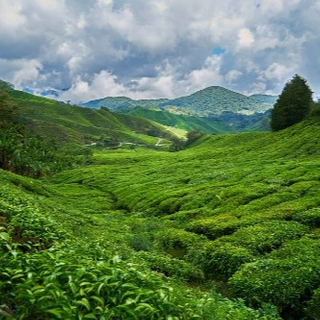 5 เพลง Cover เพราะๆ จากรายการ The Golden Singer เวทีเสียงเพราะ ทำดนตรีใหม่เพราะๆ เจ๋งๆ ว้าวมาก