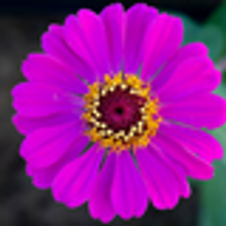 เพลงฮิตติดหูของ " เเบคฮยอน - EXO " ที่ฟังเมื่อไหร่ก็ใจสั่น!!!