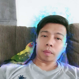 profile