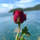 ลอยอังคารกองทัพเรือO957Z33739
